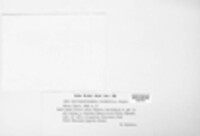 Didymosphaeria nubecula image